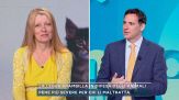 La legge Brambilla in difesa degli animali