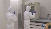 Hantavirus, "In Italia situazione tranquilla"