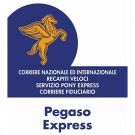 Pegaso Express