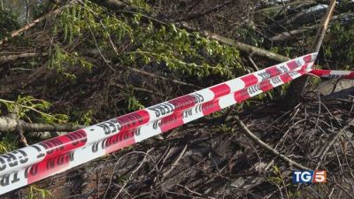Nella morsa del vento, sos valanghe sulle Alpi