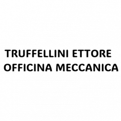 Truffellini Ettore Officina Meccanica Autorizzata Motrio Groupe Renault logo