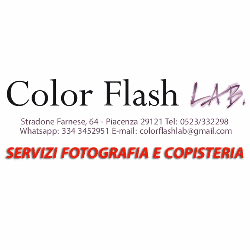 Color Flash Lab logo