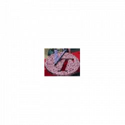 Veneta Terrazzi logo