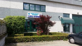 Clinica Veterinaria S. Ambrogio Ambulatorio Veterinario