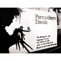 Parrucchiere Davide logo