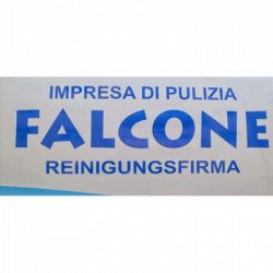 Falcone Impresa di Pulizie logo