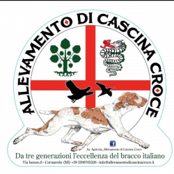Allevamento di Cascina Croce logo