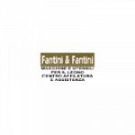 Fantini & Fantini S.r.l.