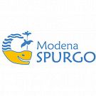 Modena Spurgo