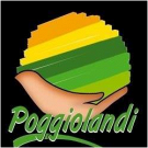 Agriturismo Poggiolandi