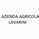 Gian Battista Lavarini Azienda Agricola