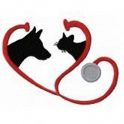 Ambulatorio Veterinario San Vito - Venturini dr. Claudio logo