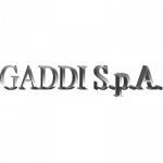 Gaddi Spa