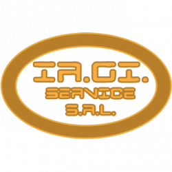 Ir.Gi. Service logo