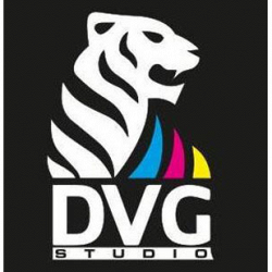 DVG Studio logo