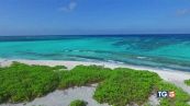 Gli oceani in pericolo patrimonio da salvare