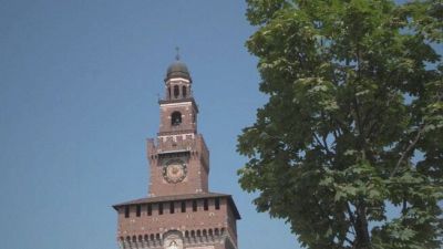 Milano, a rischio i 18 gatti del Castello Sforzesco, l'appello di Feltri