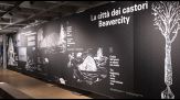 24esima Triennale, Tempo Pievani e un viaggio nella biodiversità