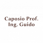 Caposio Prof. Ing. Guido