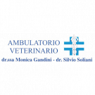 Ambulatorio Veterinario Associato Gandini e Soliani