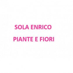 Sola Enrico Fiori e Piante logo