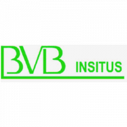 B.V.B. INSITUS logo