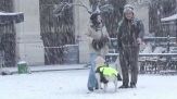 Neve a Parigi, 26 dipartimenti in allerta arancione
