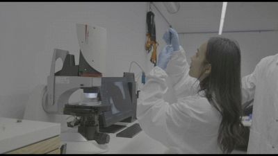Flexibots, i micro robot smart per interventi medici nel corpo umano