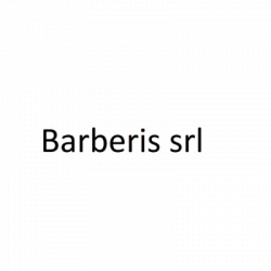 Barberis Srl logo