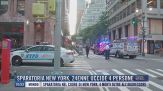 Breaking News delle 11.00 | Sparatoria New York, 27enne uccide 4 persone