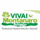 Vivai Montanaro Angelo-Produzione Piantine Orticole e Floricole