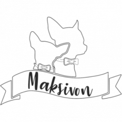 Allevamento Chihuahua Maksivon Lombardia logo