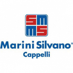 Marini Silvano logo
