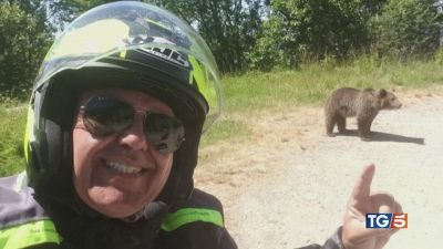 Il selfie con l'orsa, imprudenza fatale