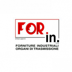 For.In. Sas logo
