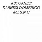 Autoanesi