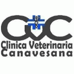 Clinica Veterinaria Canavesana