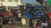 Trattori verso Roma