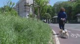 A Milano tra scivoli e altalene fuori uso i bambini faticano a giocare
