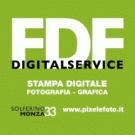 Fdf Digital Service