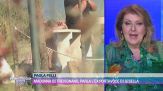 Madonna di Trevignano, parla l'ex portavoce di Gisella