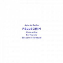 Auto e Radio Pellegrin Alessandro logo