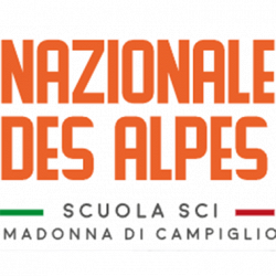Scuola Sci Nazionale - Des Alpes logo