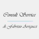 Consult Service di Fabrizio Arrigucci e C.