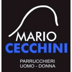 Mario Cecchini Group logo