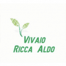 Ricca Aldo Vivaio
