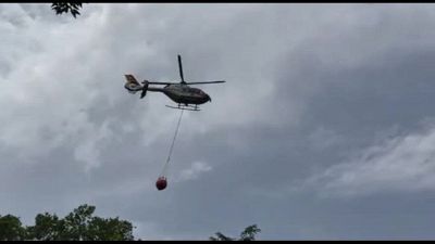 Nuovo rogo a Roma nella riserva di Monte Mario, sotto controllo