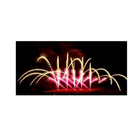 RAFFAELE PYROTECH foto 2