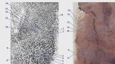 Il dna sotto le unghie di Chiara, le tracce e le impronte nella villetta