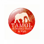 Tamol